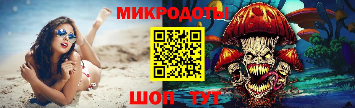 Галлюциногенные грибы Psilocybine cubensis Балашов